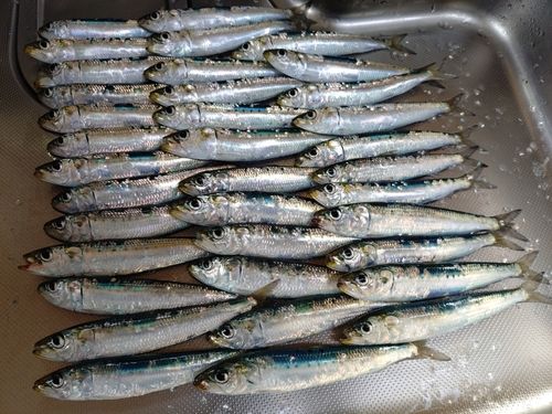 小名浜港アクアマリンふくしま周辺