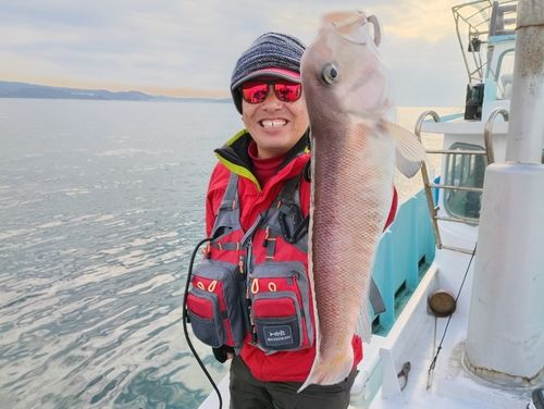 アマダイの釣果