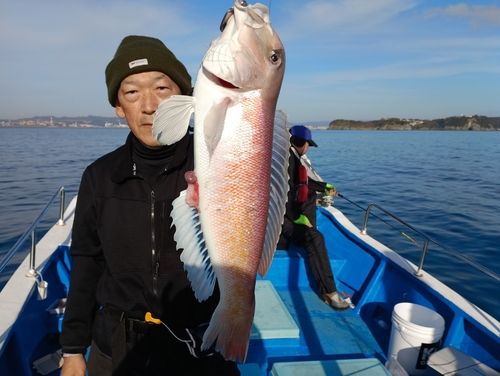 アマダイの釣果