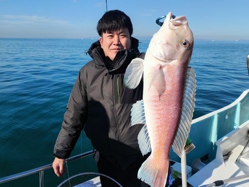 アマダイの釣果