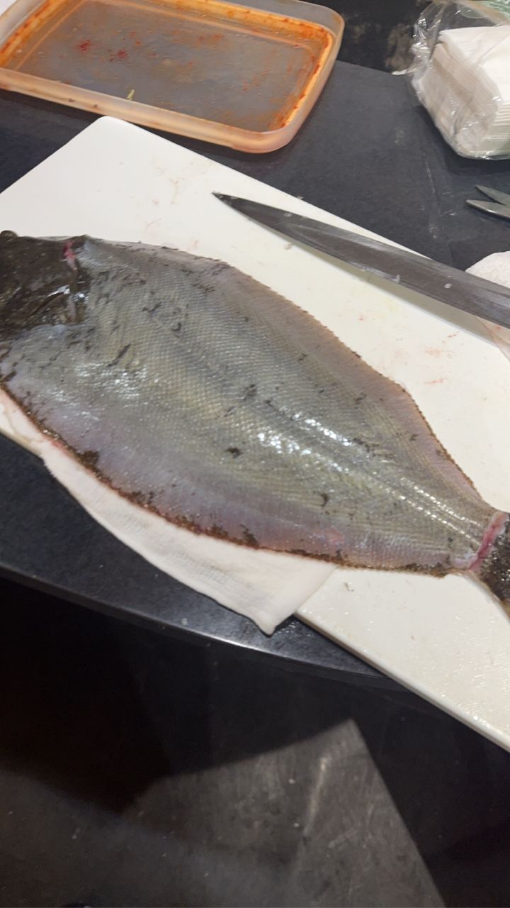 若造りジャパンさんの釣果 2枚目の画像