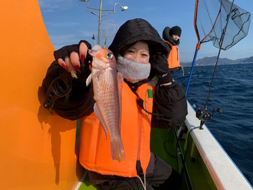 アマダイの釣果