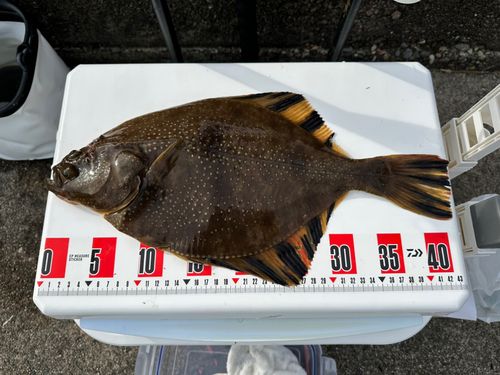 大野お台場公園前