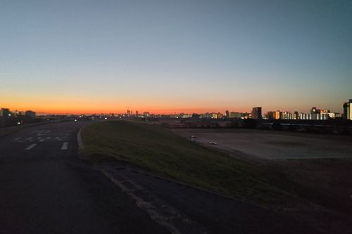 ブルーギルの釣果