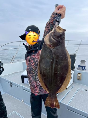 ヒラメの釣果