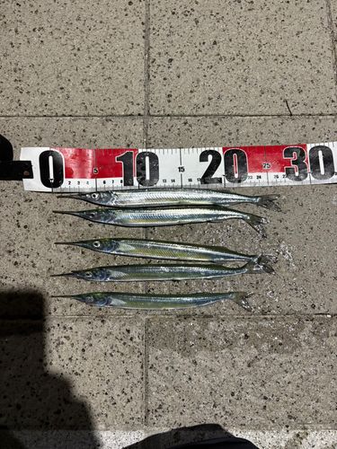 神戸沖堤防（7防）