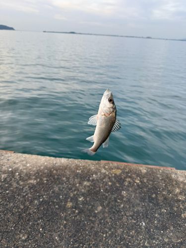 マリナタウン海浜公園