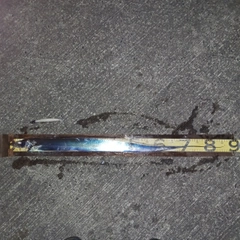 タチウオの釣果