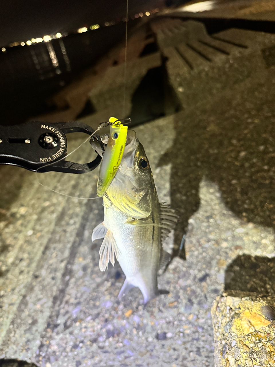 DAIWA 23シーバスフラット X 90MLの最安値・インプレ・釣果 | 本音の