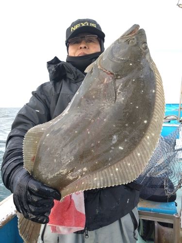 ヒラメの釣果