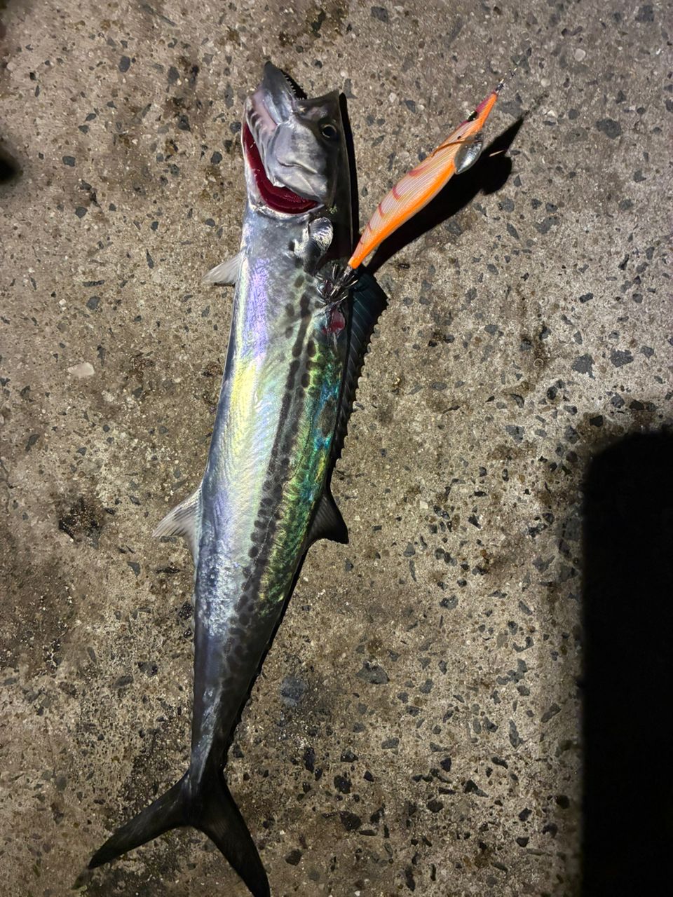 DAIWA 21エメラルダス ストイスト RT 76MMHの最安値・インプレ・釣果