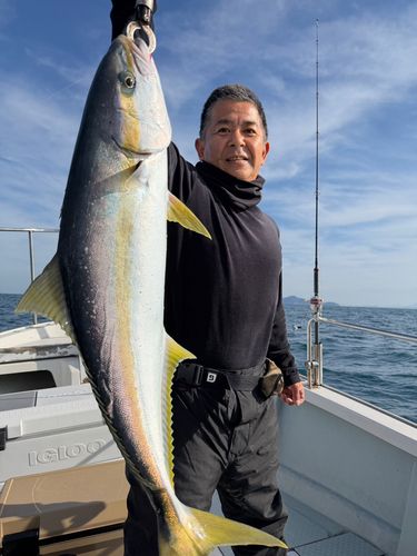 ヒラマサの釣果