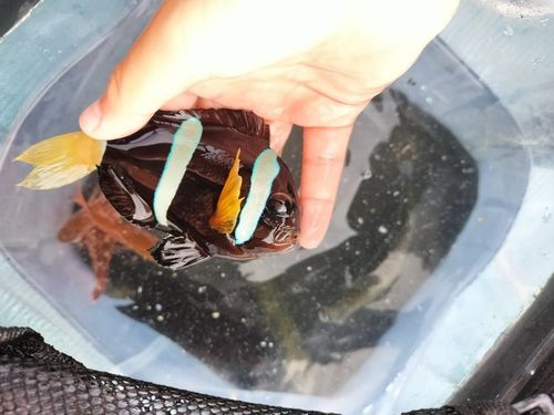 桜島海づり公園