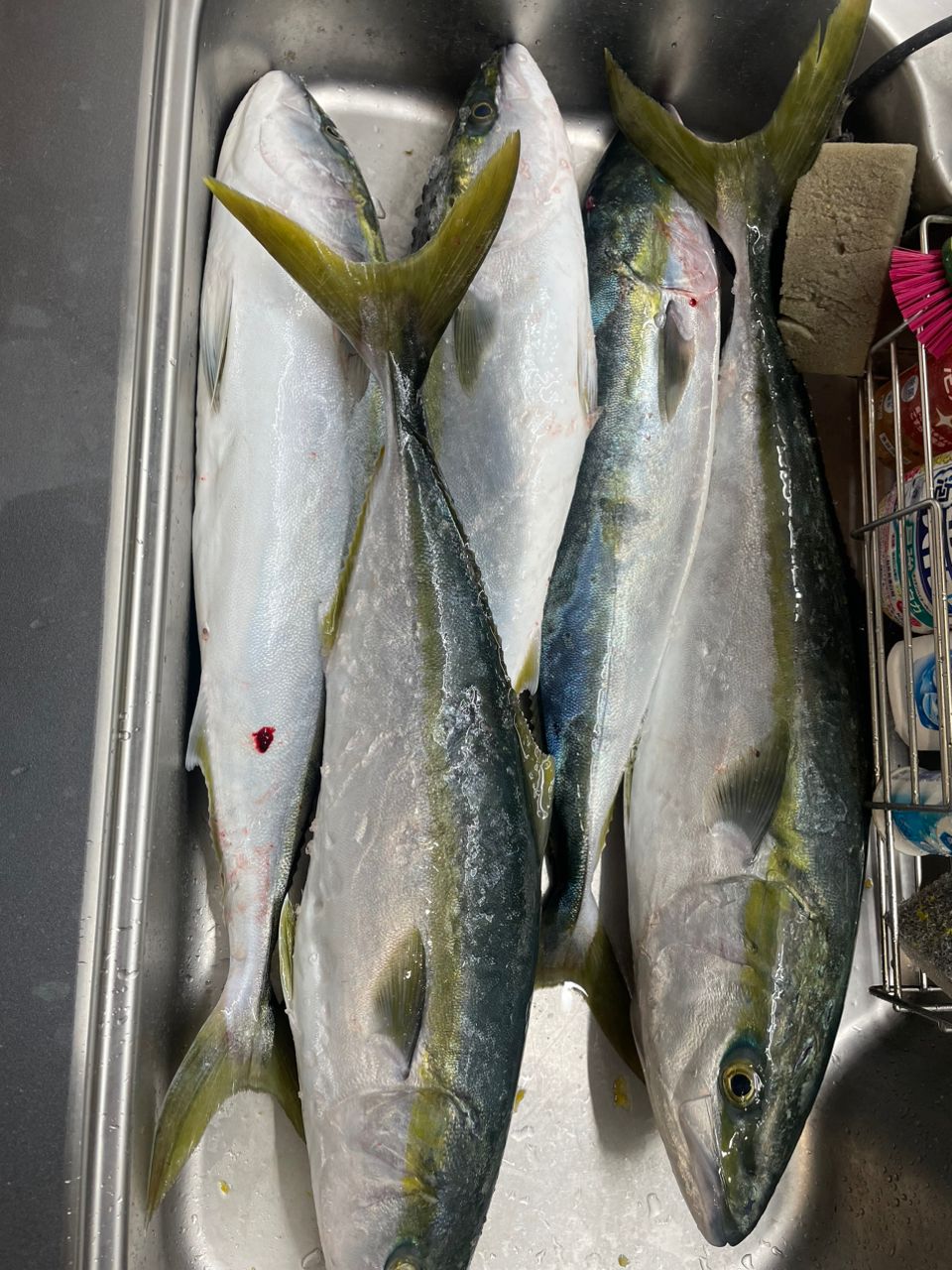 SHIMANO 23オシアジガー リミテッド (スピニング) S62-4の最安値