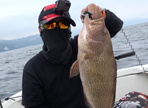 オオモンハタの釣果