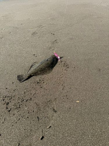 新舞子海岸（富津）