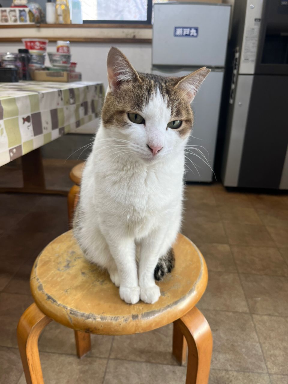 Guest62908869さんの釣果 3枚目の画像