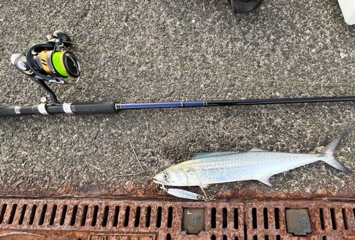 鞠山海遊パーク