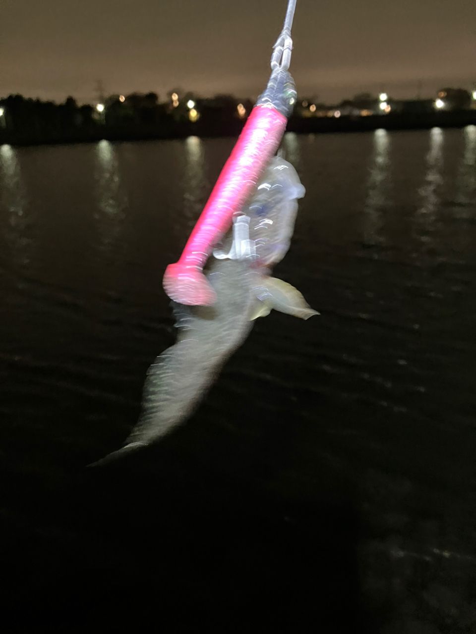 DAIWA 21ラブラックス AGS 100MLの最安値・インプレ・釣果 | 本音の