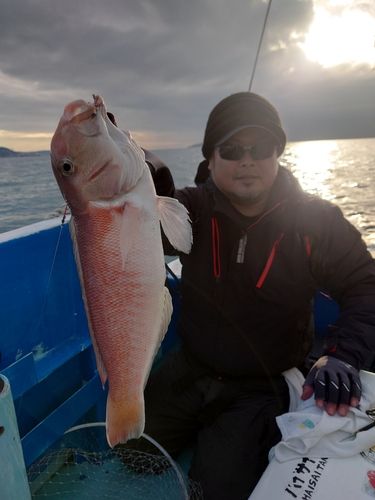 シロアマダイの釣果