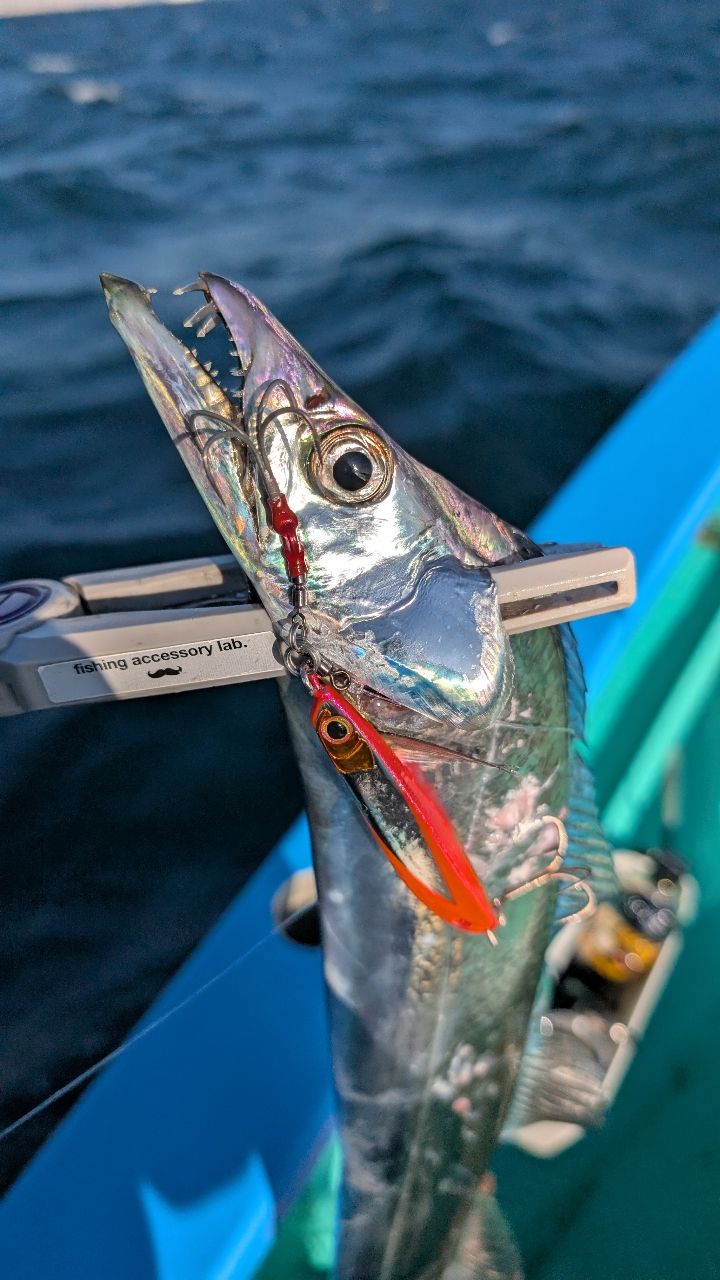 おざくんさんの釣果 2枚目の画像