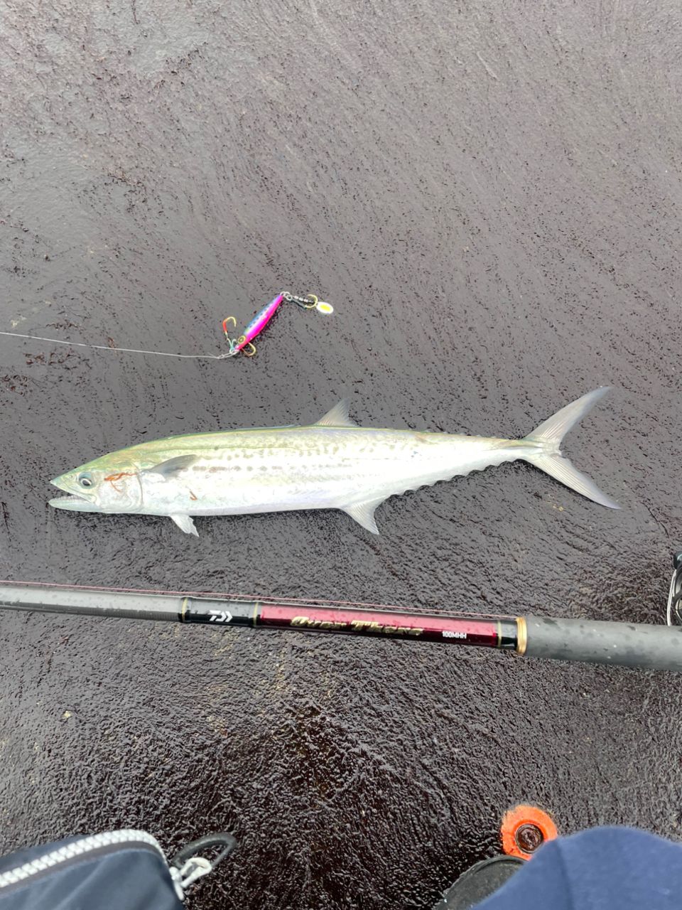 DAIWA 22オーバーゼア 100MHHの最安値・インプレ・釣果 | 本音の口コミ