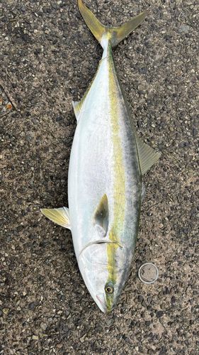 神戸空港親水護岸