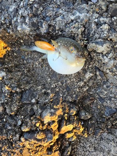 新舞子マリンパーク