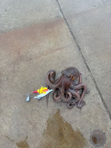 小名浜港市場前