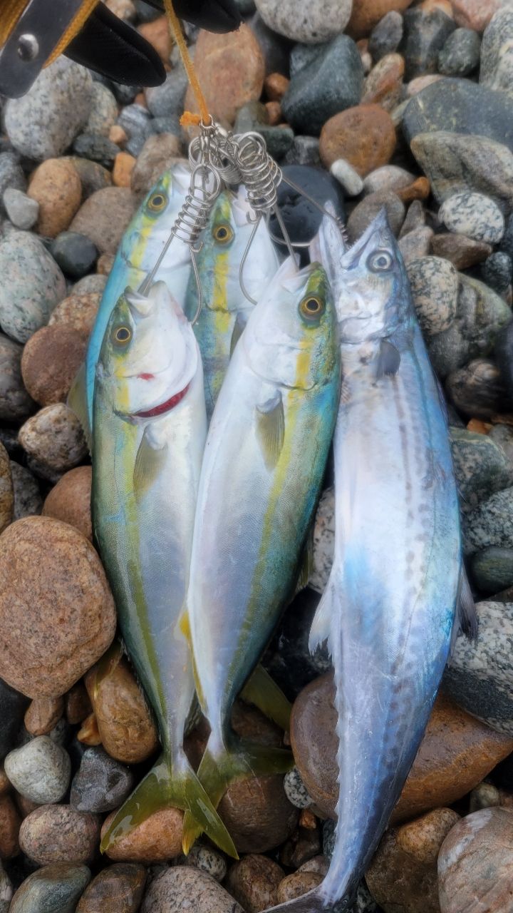 SHIMANO 23ダイナダート XR S90MHの最安値・インプレ・釣果 | 本音の