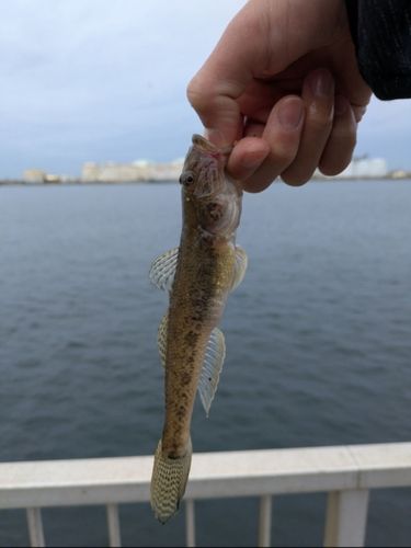 千葉港中央埠頭