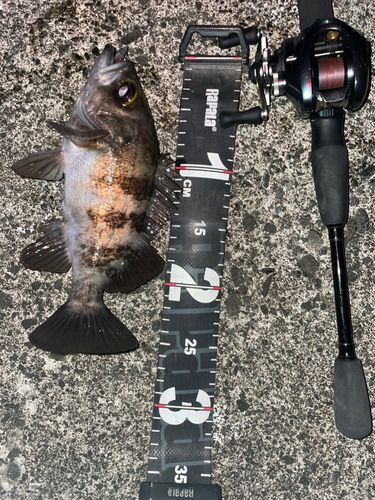 小湊漁港（青森）