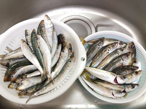 小名浜港アクアマリンふくしま周辺