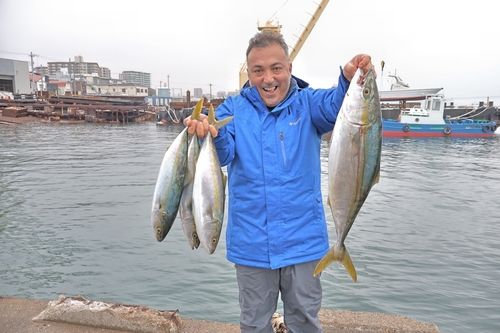 ハマチの釣果
