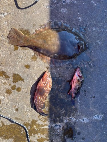 長浜公園（広島）