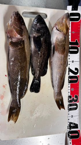 三陸海岸（青森）