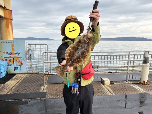 ヒラメの釣果
