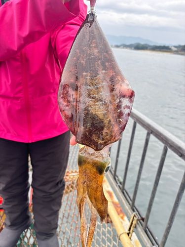 福岡市海づり公園