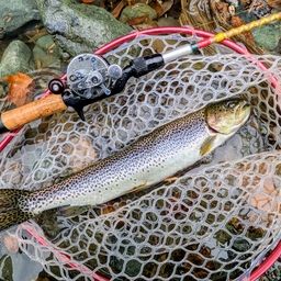 カットスロート