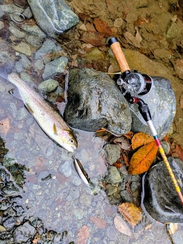 リヴァスポット早戸