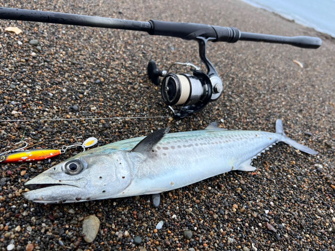 SHIMANO 23ディアルーナ S96MLの最安値・インプレ・釣果 | 本音の