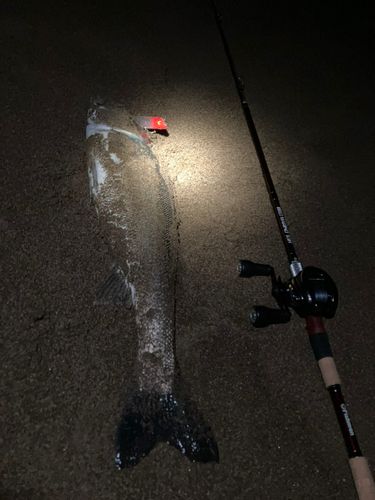 塩屋海岸（石川）