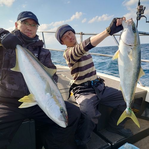 ヒラマサの釣果