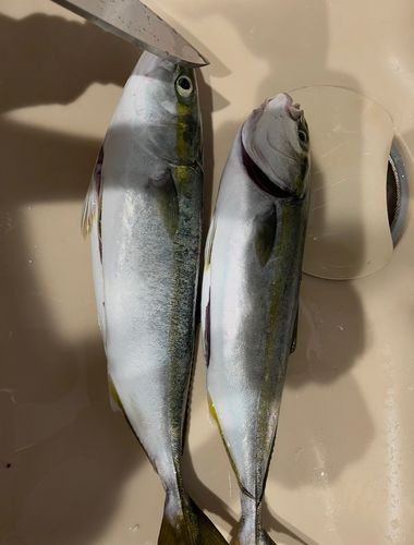 網代浜海水浴場