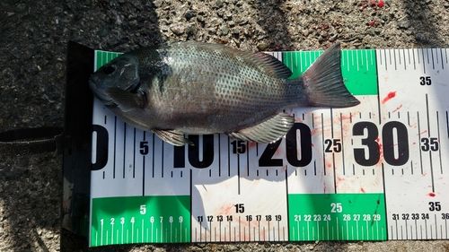 アジュール舞子