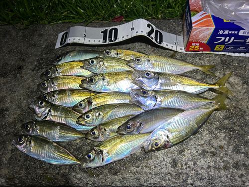 シーサイドコスモ釣り解放区