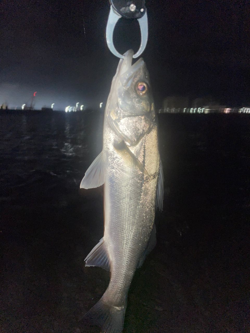 SHIMANO 20ルナミス S96Mの最安値・インプレ・釣果 | 本音の口コミが