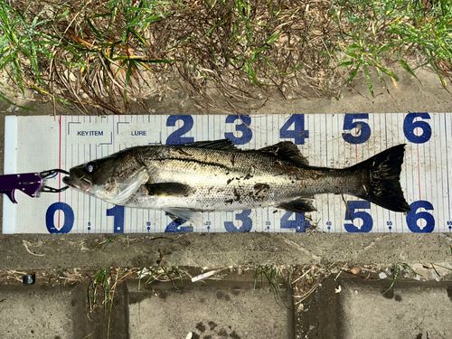 荒川河川敷運動公園