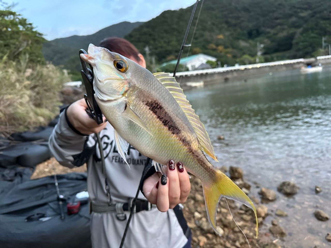 ヒトスジタマガシラ