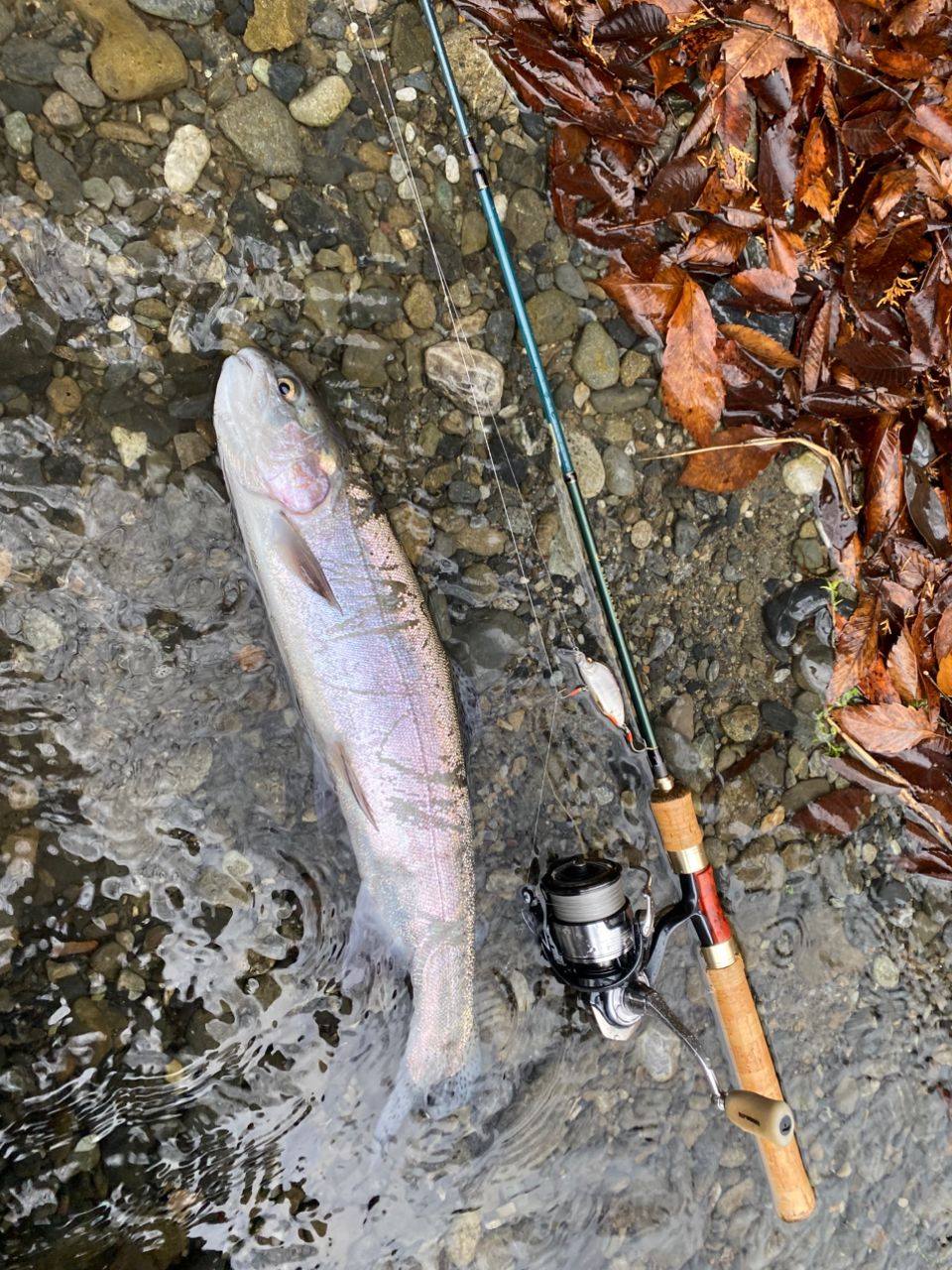 TIEMCO エンハンサー E511M-5の最安値・インプレ・釣果 | 本音の口コミ